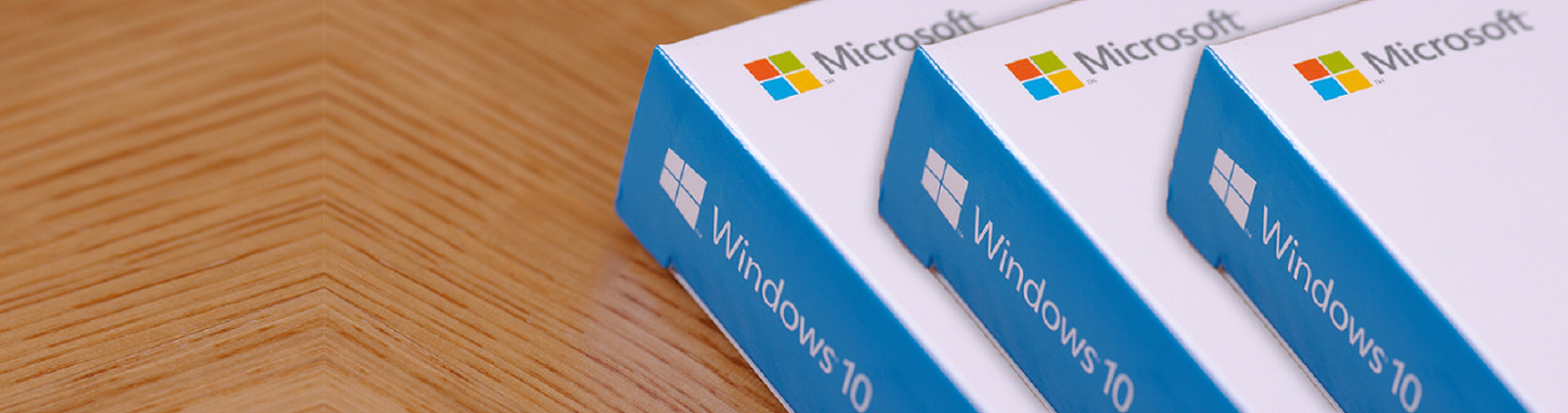 Microsoft Windows 10 전문가